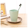 Eco-Friendly Plastic With Straw Toothbrush Case Toothbrush Holder For Home 