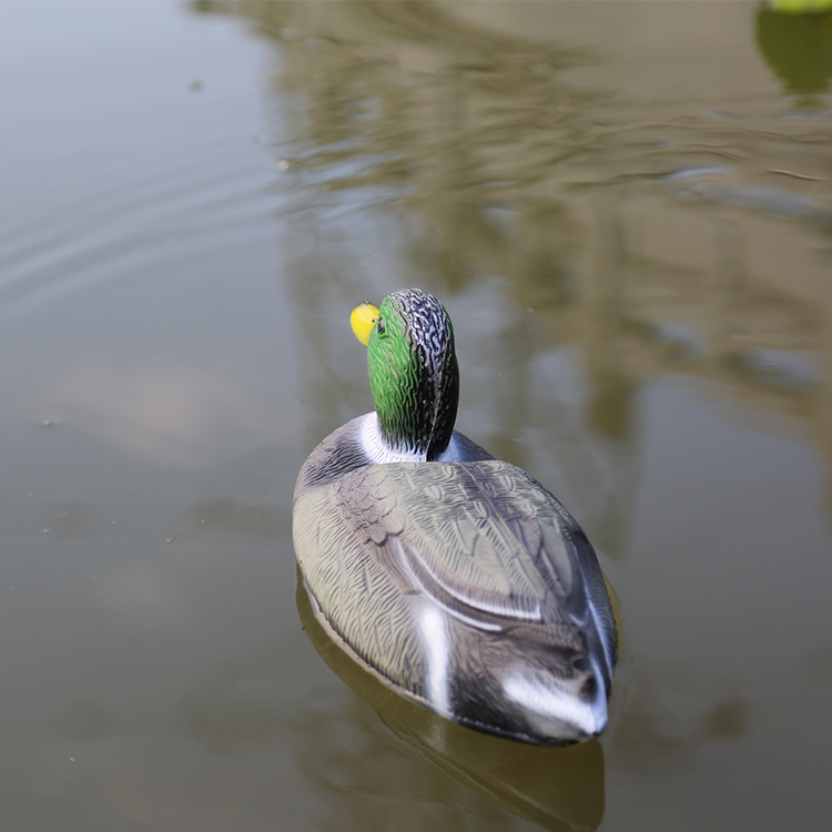 new design duck decoy supplier