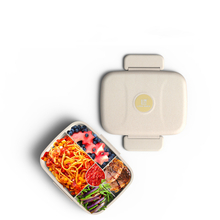 Plastic And Silicone Food Container Leak Proof Premium Quality Bento Lunch Box For Adults Kids with Lids
