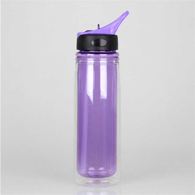 Europe Standard High Quality Double Wall Glass Bottle
