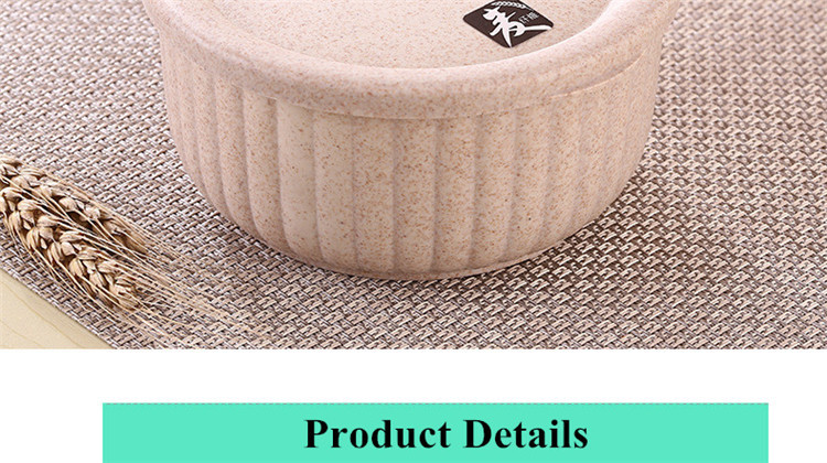 Biodegradable Salad Bowl