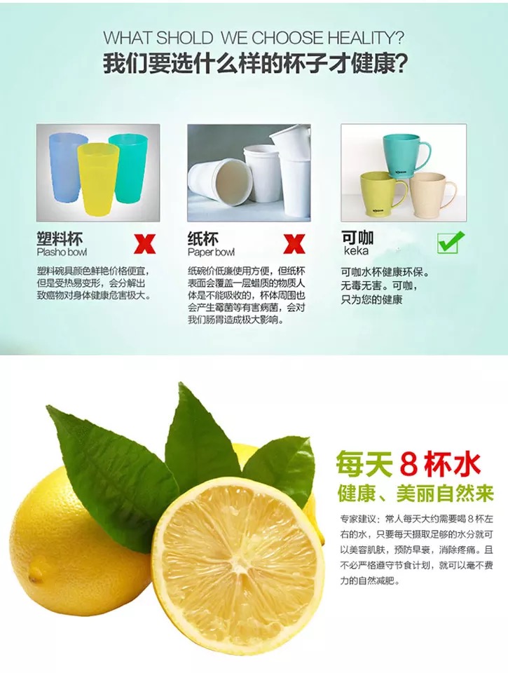 customized toothbrush holder supplier