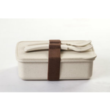 Safe Custom PP Plastic Disposable Bento Lunch Box for Men And Women