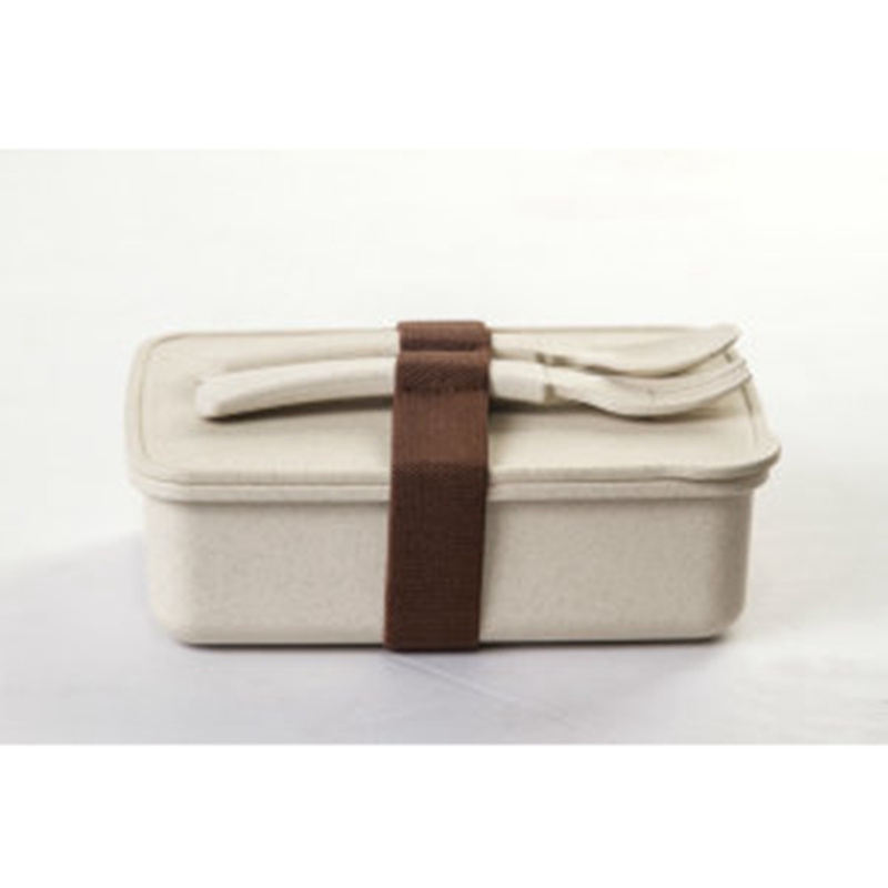 Safe Custom PP Plastic Disposable Bento Lunch Box for Men And Women
