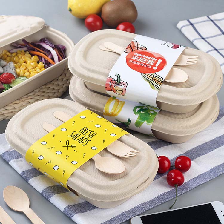 100% Food Grade Material Rice Lunch Box