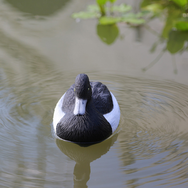 clay target supplier