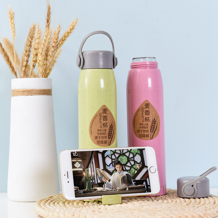 Factory Wholesale Wheat Straw Glass Double Wall Water Bottle With Phone Holder