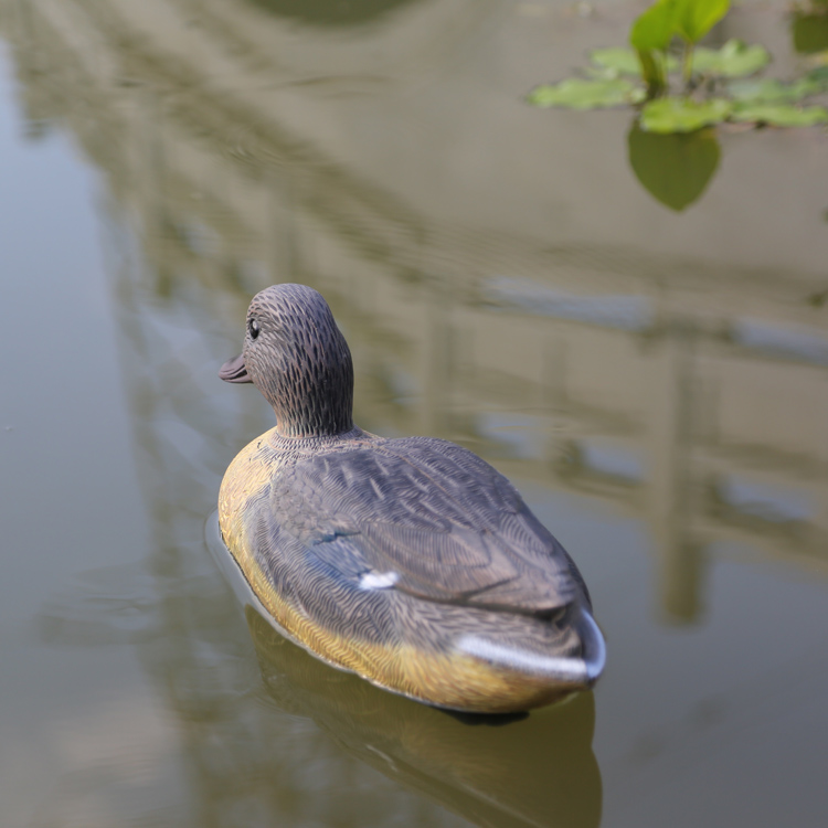 Mallard hunting Motorized