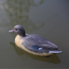 Amazon Best Sell Duck Hunting Decoy Goose Motorized