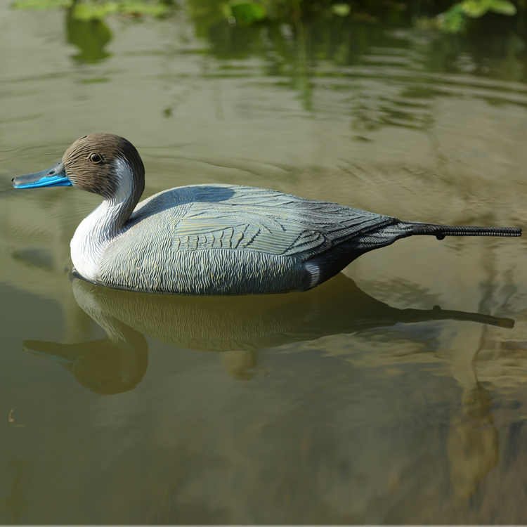decoy Pintail hunting factory