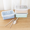 Portable Wheat Straw Biodegradable Lunch Box With Rectangle 
