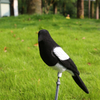 Outdoor Hunting Decoy Plastic Bait Magpie Animal Mould Simulation