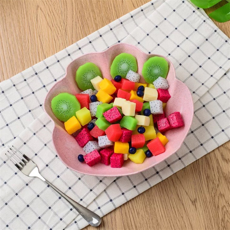 Pearl Shell Plate BPA Free Bento Lunch Box No Melamine