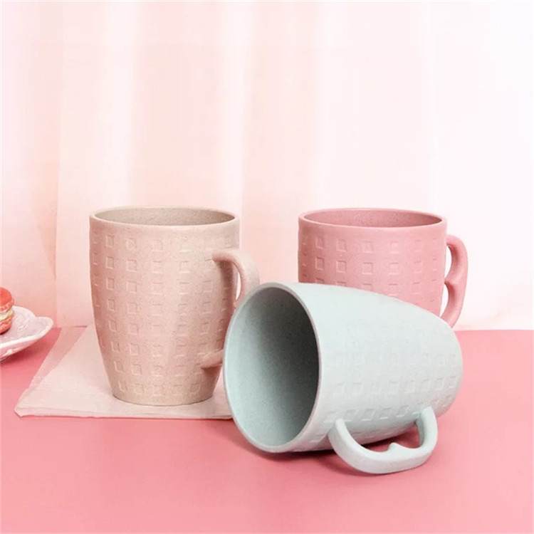 Wheat Straw Water Bottle School