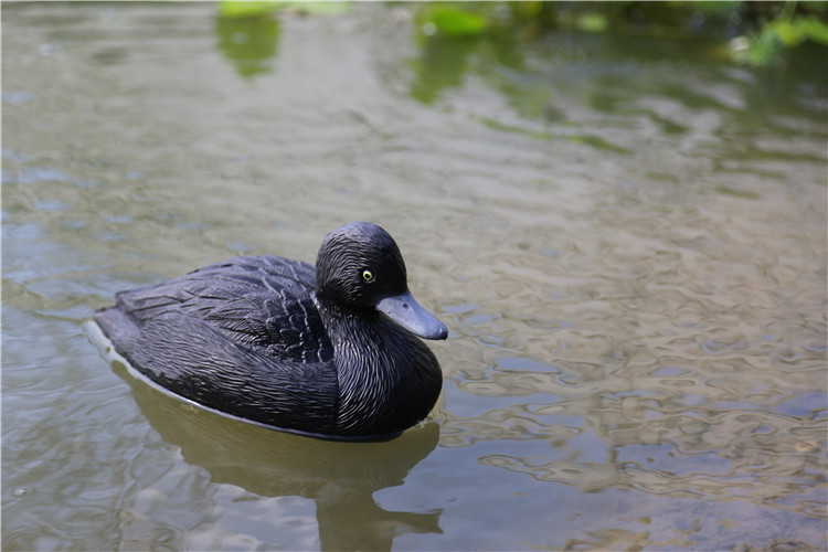 outdoor plastic decoy duck