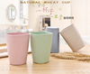 Eco-Friendly Plastic With Straw Toothbrush Case Toothbrush Holder For Home 