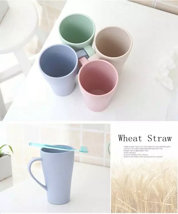 biodegradable toothbrush holder supplier