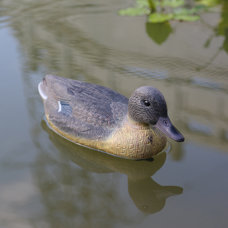 blue wing duck hunting decoy goose