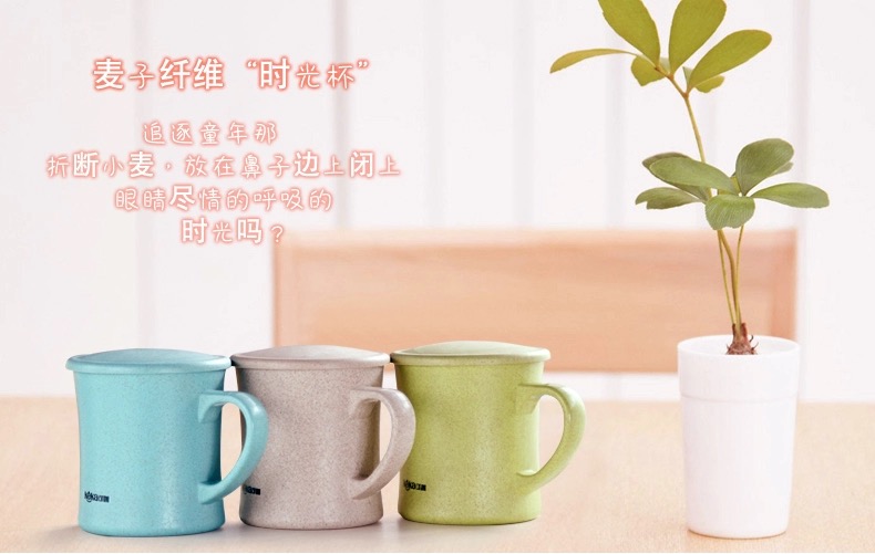 Double Wall water bottle Bottle with Lid Supplier