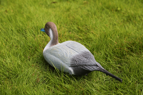 Animal shooting supplier