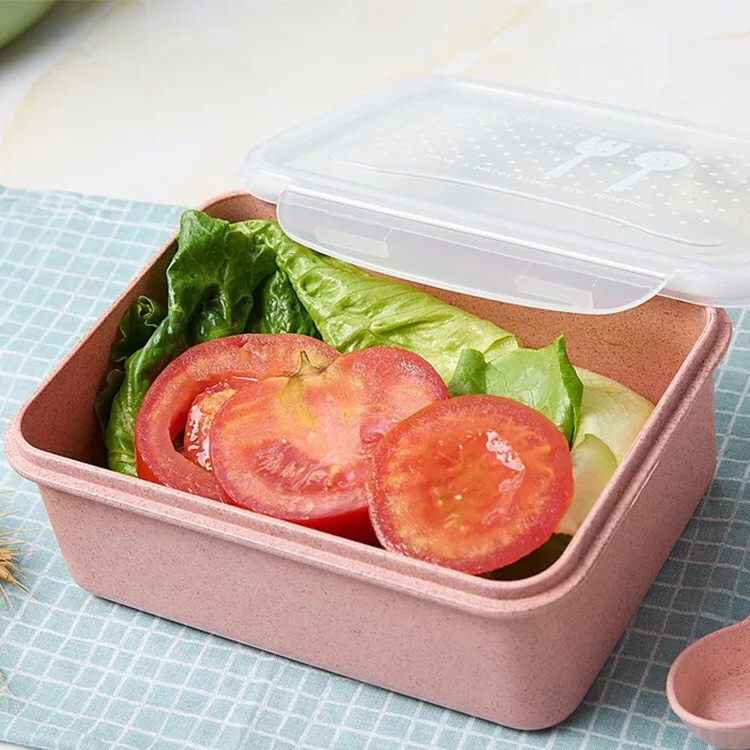 biodegradable lunch box supplier