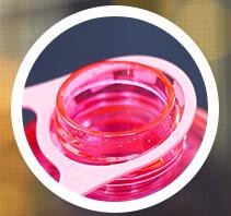 mini gallon water bottle