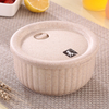Non-toxic Cute Wheat Straw Biodegradable Salad Bowl Noddles