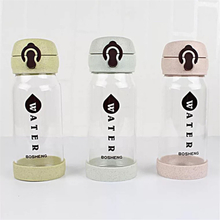 Fashion Promotional Recycled Eco Glass Water Bottle With Wheat Straw 