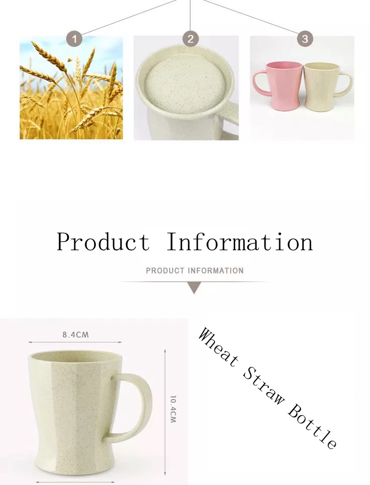 silicone tooth brush holder supplier