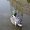 2019 New Design Duck Decoy Hunting Decoy for Hunting Caller 