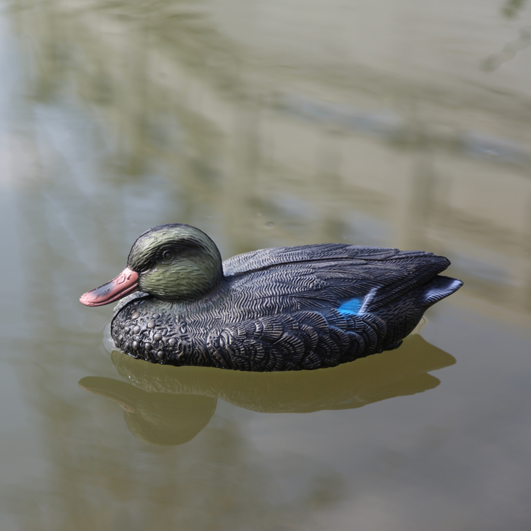 hunting decoy Sarcelle supplier