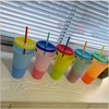 PP Temperature Sensitive Plastic Color Changing Cup Cold Water Coffee Colorful Rainbow Straw Cup