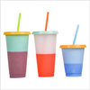 PP Temperature Sensitive Plastic Color Changing Cup Cold Water Coffee Colorful Rainbow Straw Cup