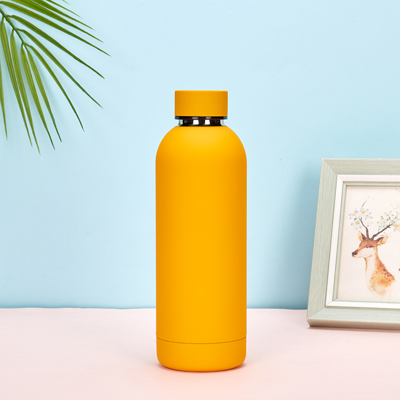insulated stainless steel water bottle 