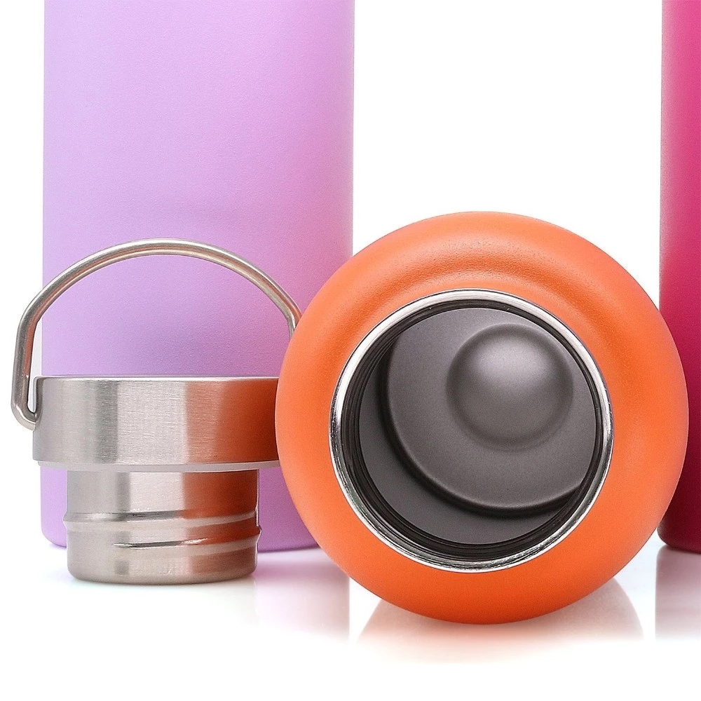 stainless steel bottle with handle supplier