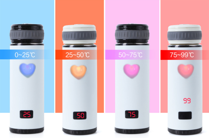 Double Insulated stainless steel smart water bottle with Temperature touch screen