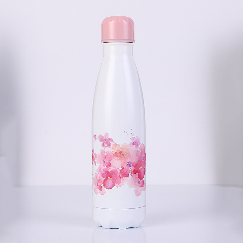 double wall stainless steel bottle