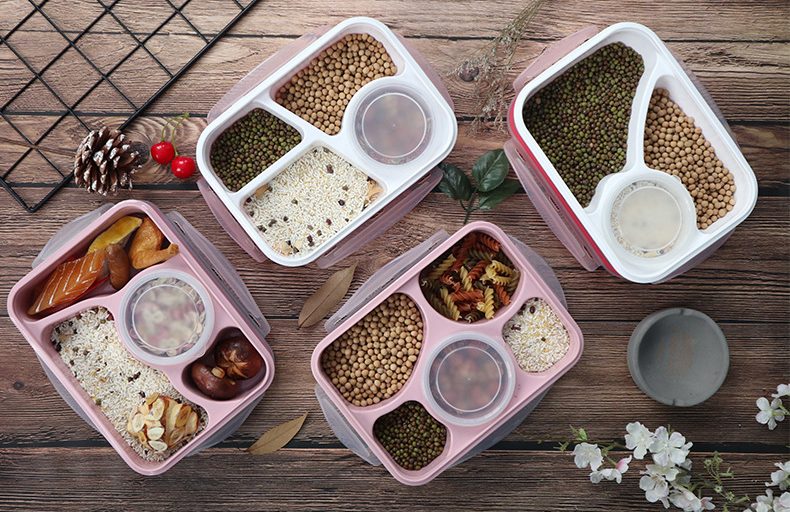 Student Multi-frame Plastic Lunch Box