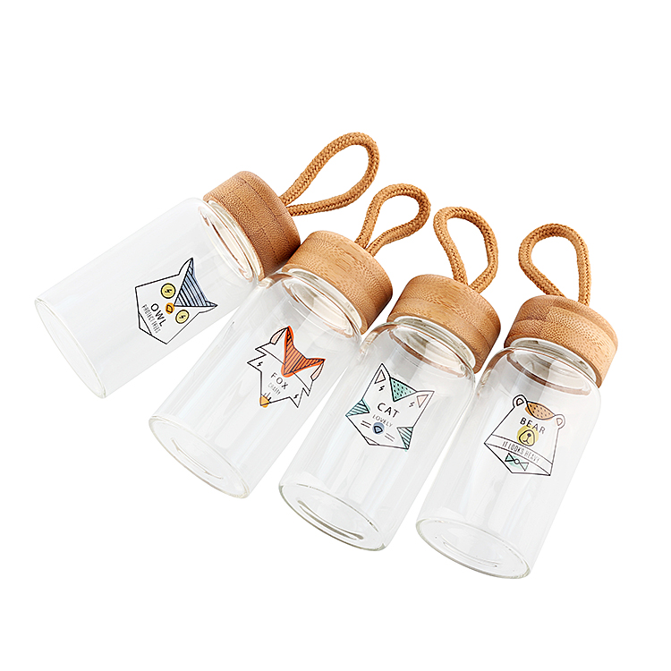 Gift Leakproof BPA Free Portable Reusable 550ML Borosilicate Glass Water Bottle