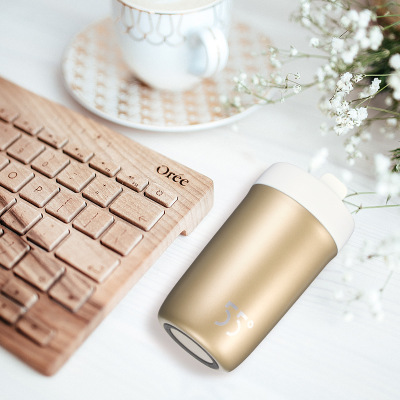 Warm Water Smart Bottle Water, Stainless Steel Mug with Plastic Lid