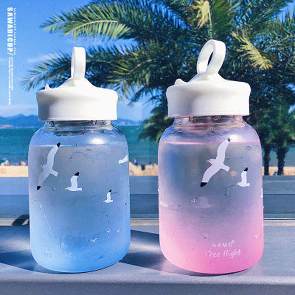 New creative Cute glass Korean edition schoolgirl ins small fresh portable scrub transparent glass water cup wholesale