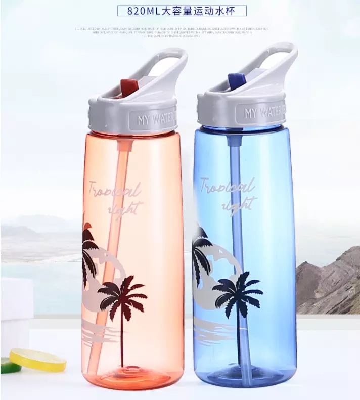travel sport bottle with straw supplier