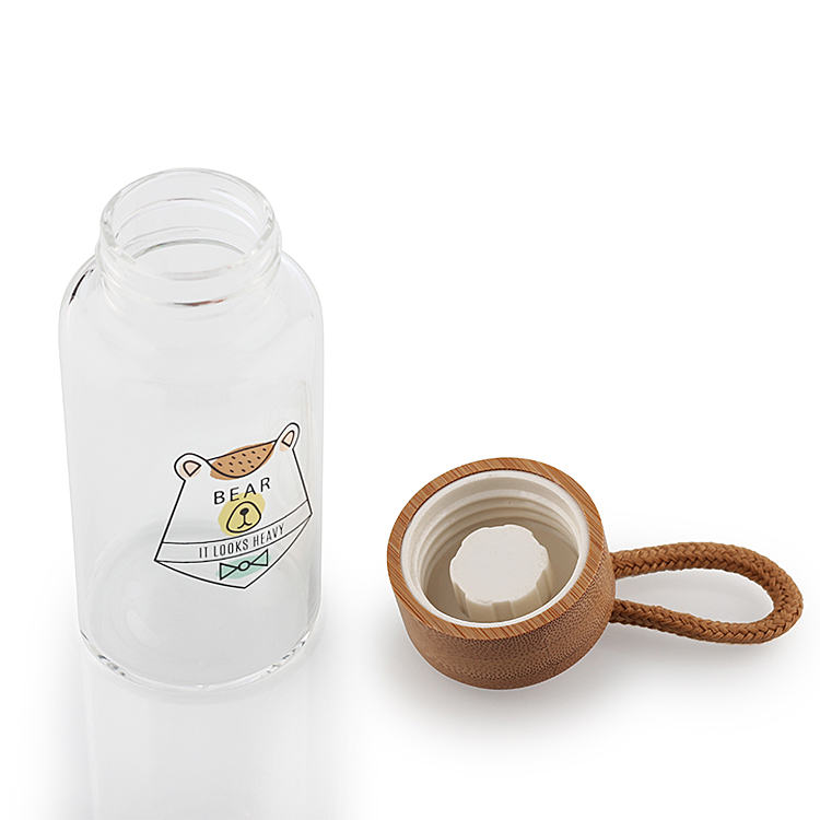 Gift Leakproof BPA Free Portable Reusable 550ML Borosilicate Glass Water Bottle
