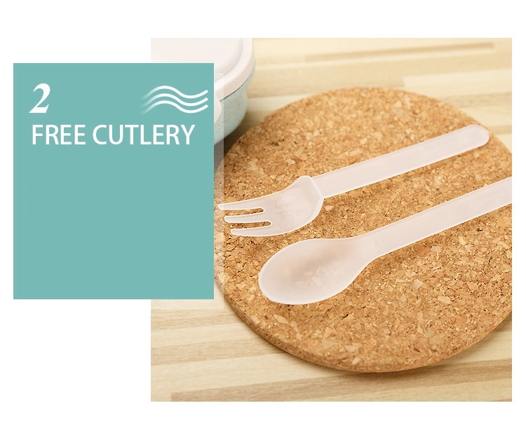 biodegradable plastic bento supplier