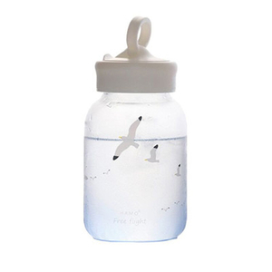 New creative Cute glass Korean edition schoolgirl ins small fresh portable scrub transparent glass water cup wholesale