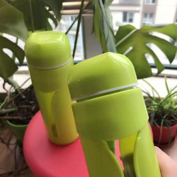 Sports kettle Fresh fruit green plastic water bottle