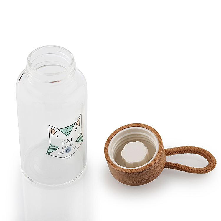 Gift Leakproof BPA Free Portable Reusable 550ML Borosilicate Glass Water Bottle