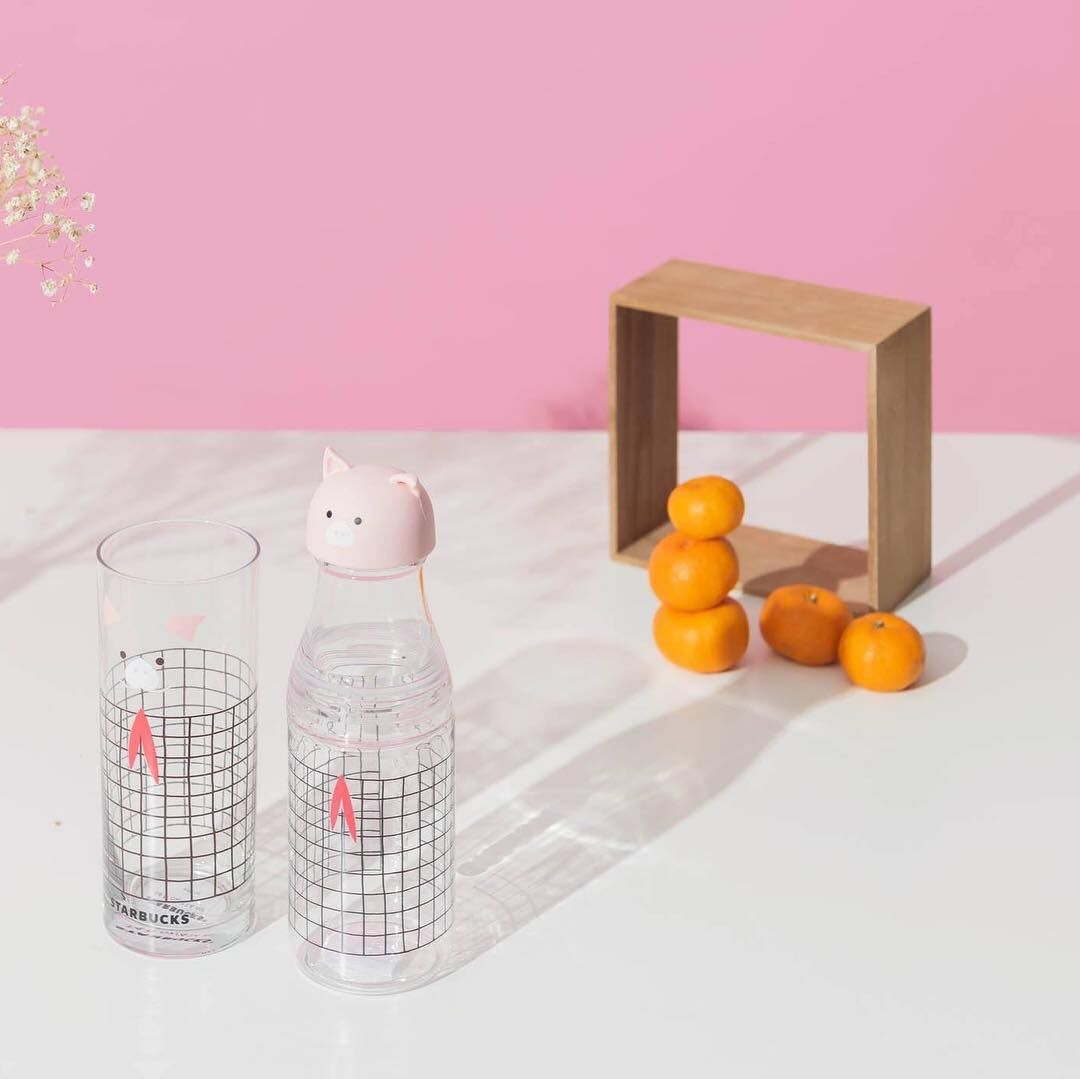 is plastic water bottle bad for you