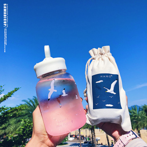 New creative Cute glass Korean edition schoolgirl ins small fresh portable scrub transparent glass water cup wholesale