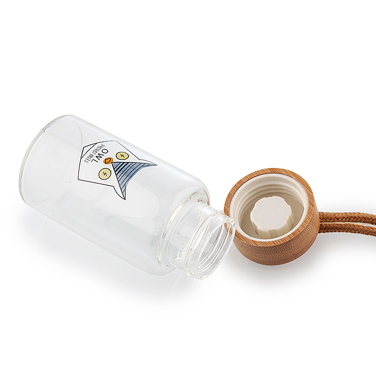  550ml Borosilicate Glass Water Bottle